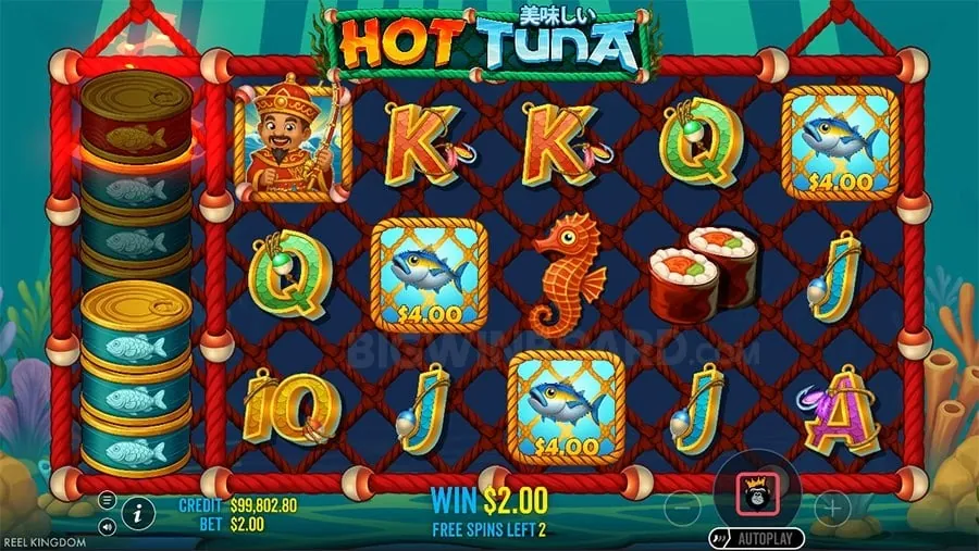 ace Responsible Gambling Practices