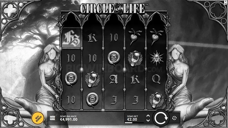 Live Dealer Casino Game