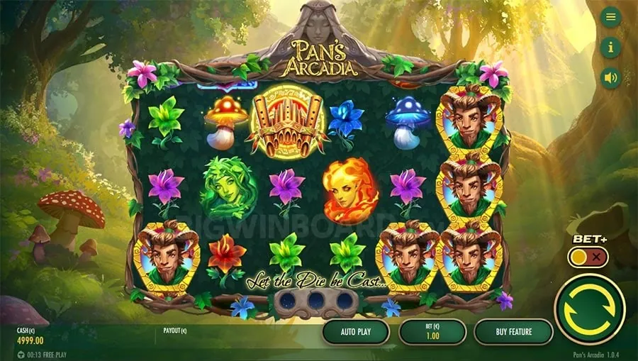 Person placing a bet on a sports betting app, highlighting ace features